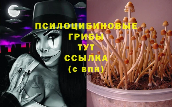 синтетический гашиш Медвежьегорск