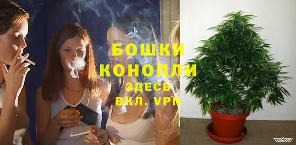 дмт Михайловск