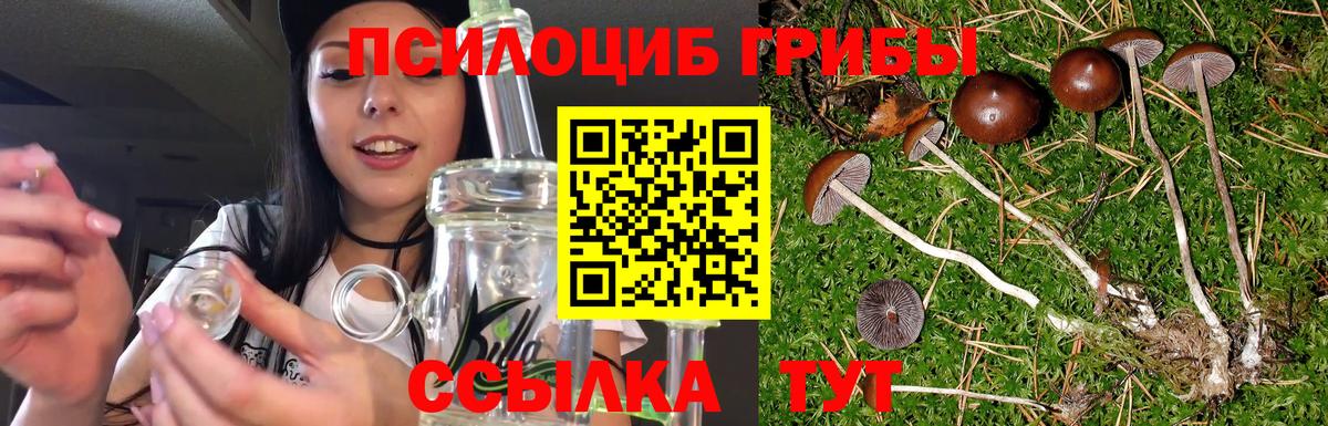 Галлюциногенные грибы мухоморы Новокубанск