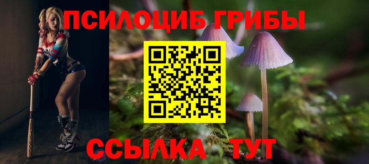 Галлюциногенные грибы прущие грибы  Вход с VPN  Новокубанск  Псилоцибиновые грибы мухоморы 